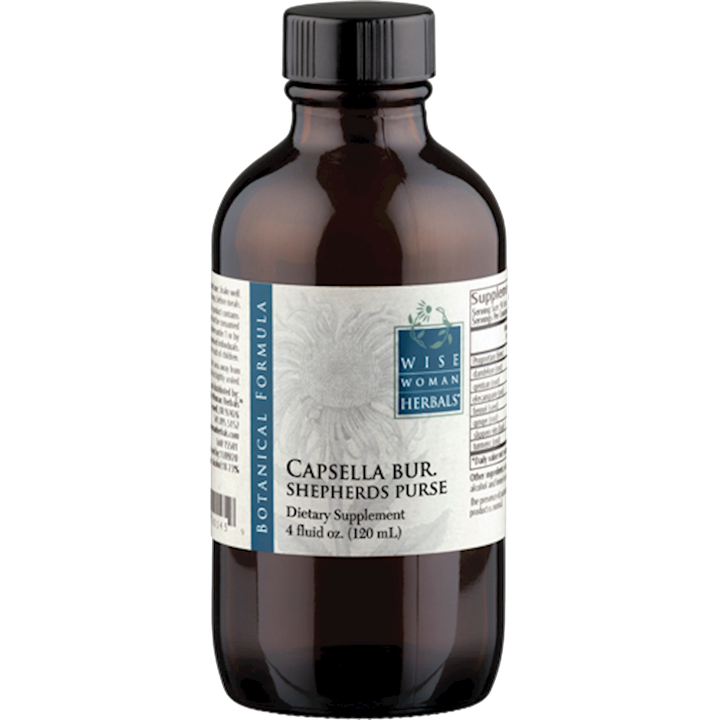 Capsella/shepherd's purse
