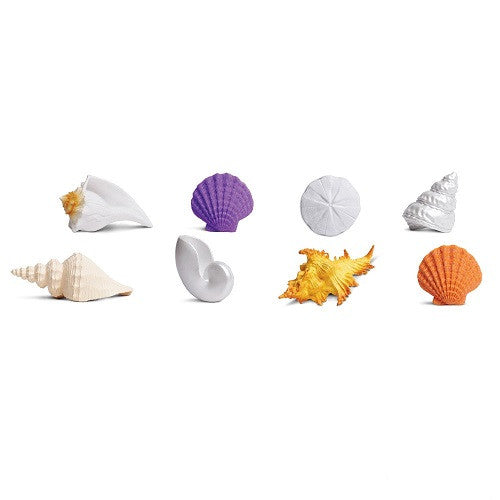 Sea Shells Toob