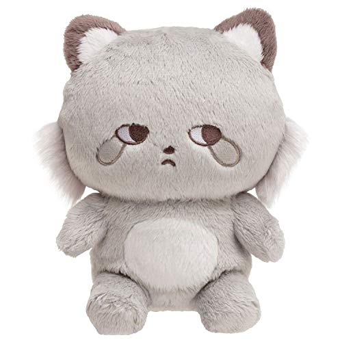 SAN-X Kokoroaraiguma Plush Doll Ashia-Raccoon S