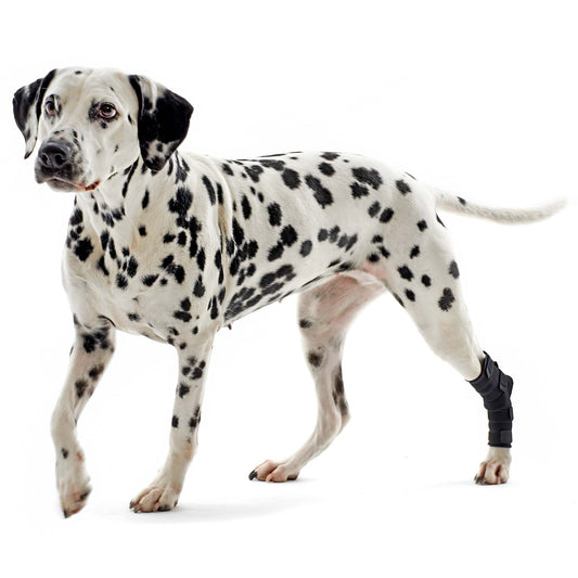 Kruuse Rehab Hock Protector