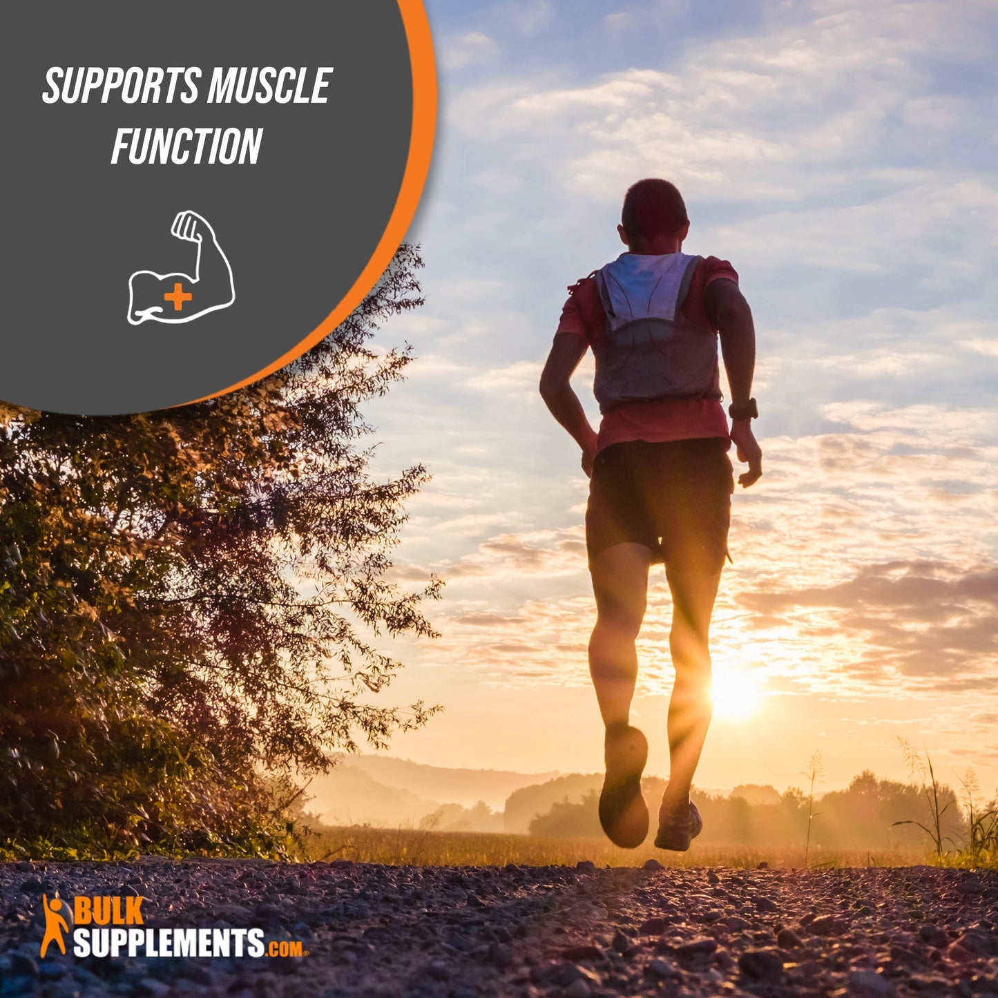 Magnesium Malate Capsules