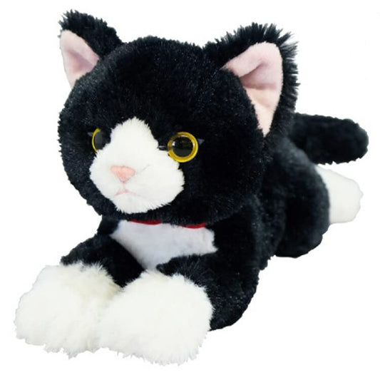 Sun Lemon Knee Cat SS P-8432