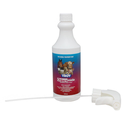 Chloromide Antiseptic Spray 500mL